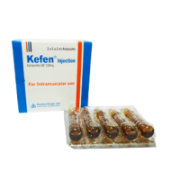 Kefen IM Injection 100 mg/2 ml