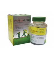Protinavit Capsule  500 mg 