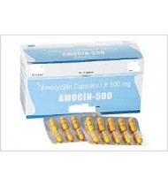 Amocin Capsule 500 mg