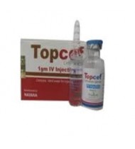 Topcef IM Injection 500 mg vial