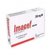 Imacef IV Injection 250 mg vial