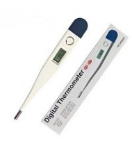 Digital Thermometer Actual Buzzle